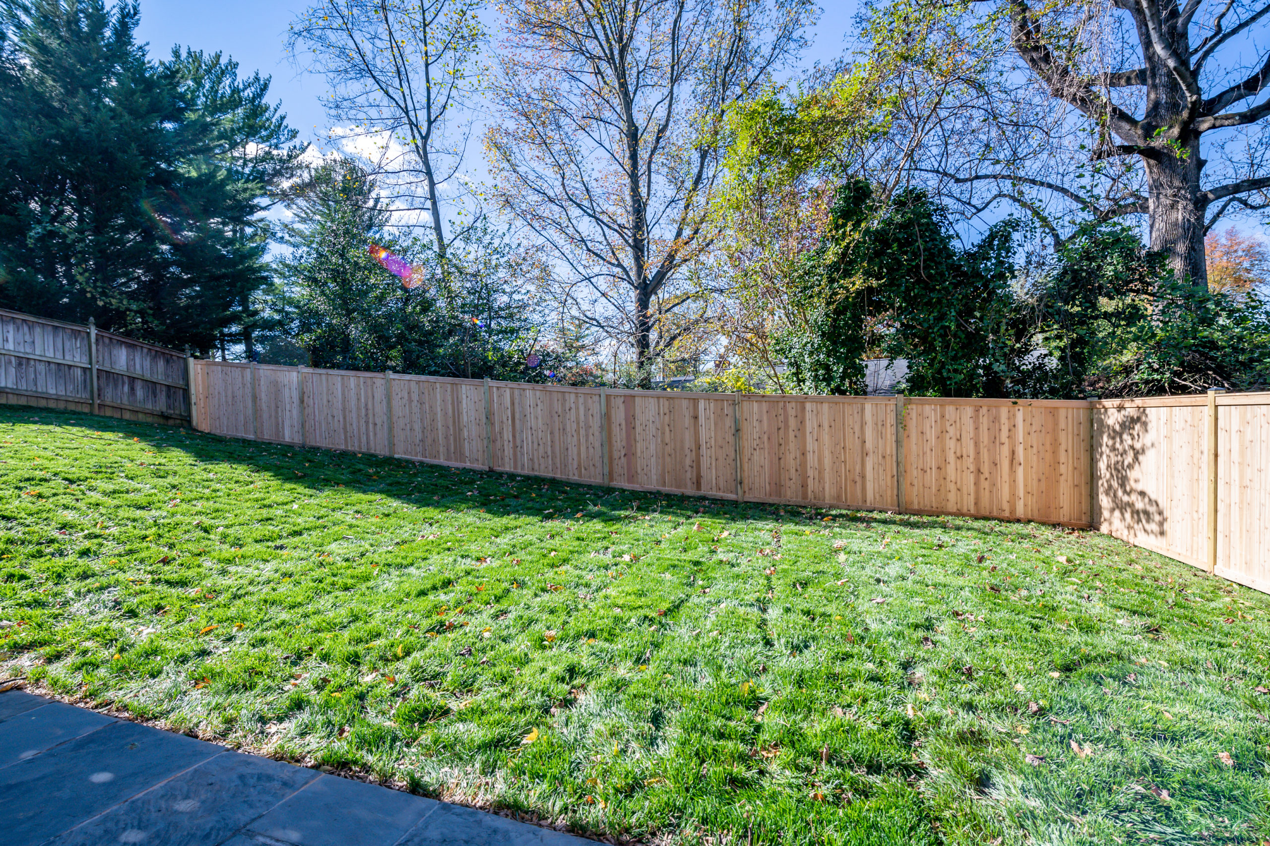 Backyard 1