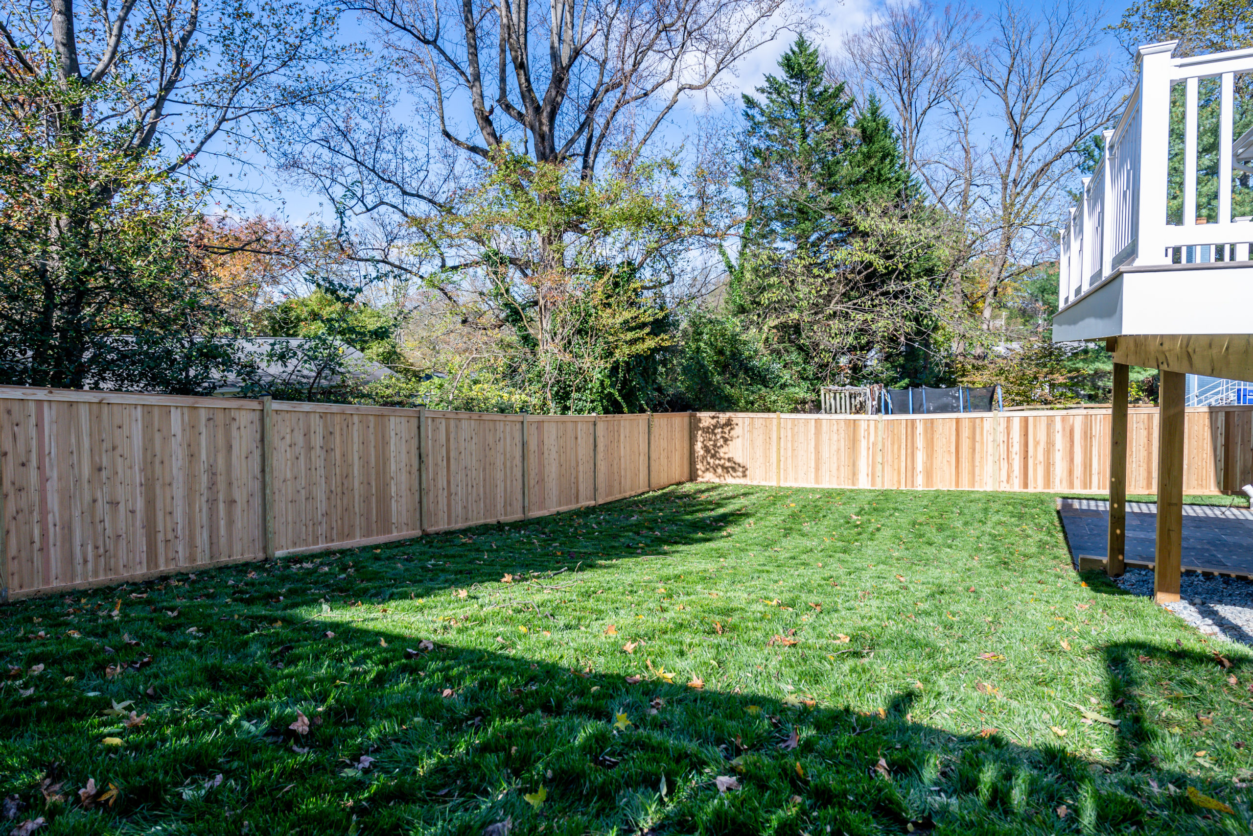 Backyard 2