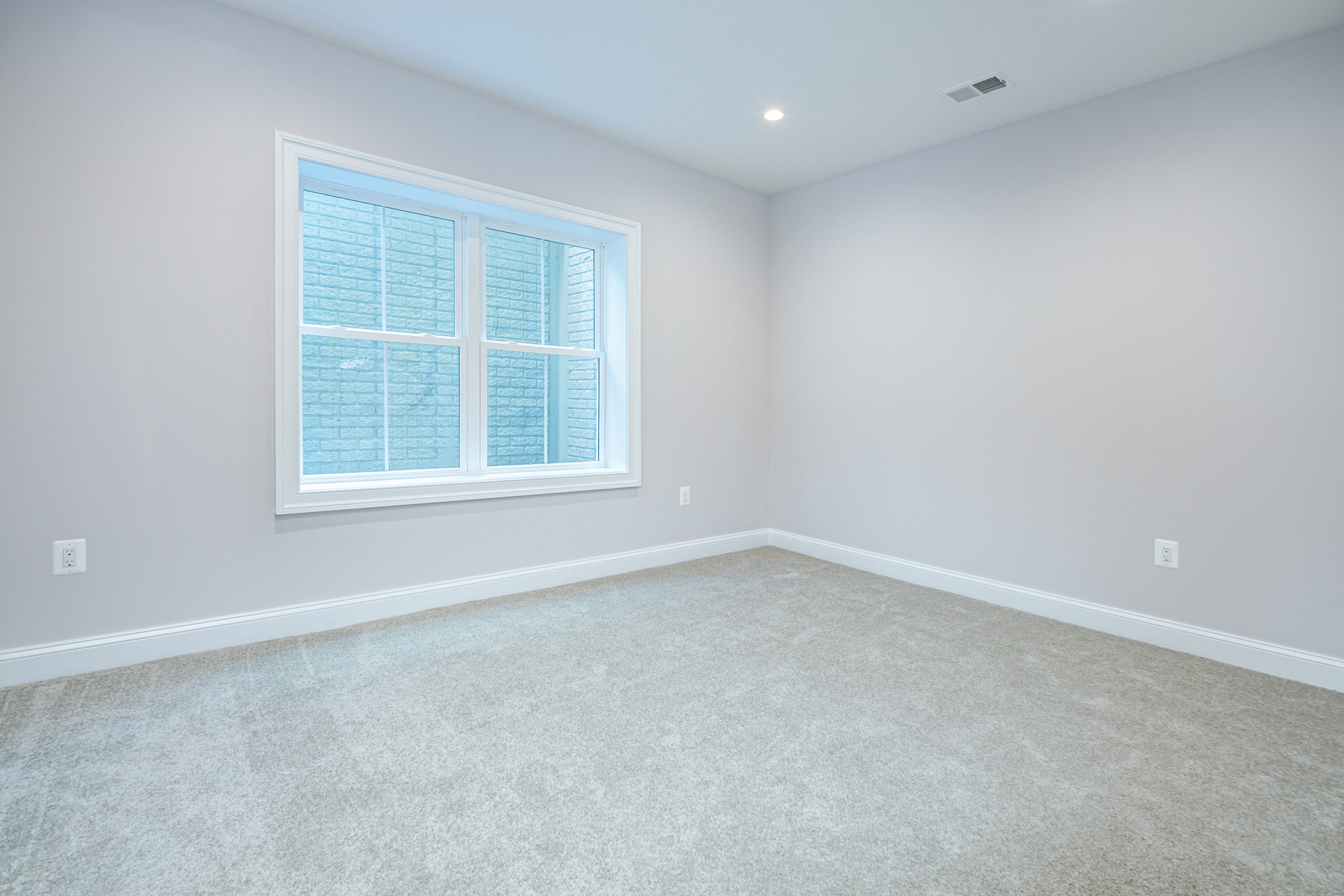 Lower Level Bedroom 2