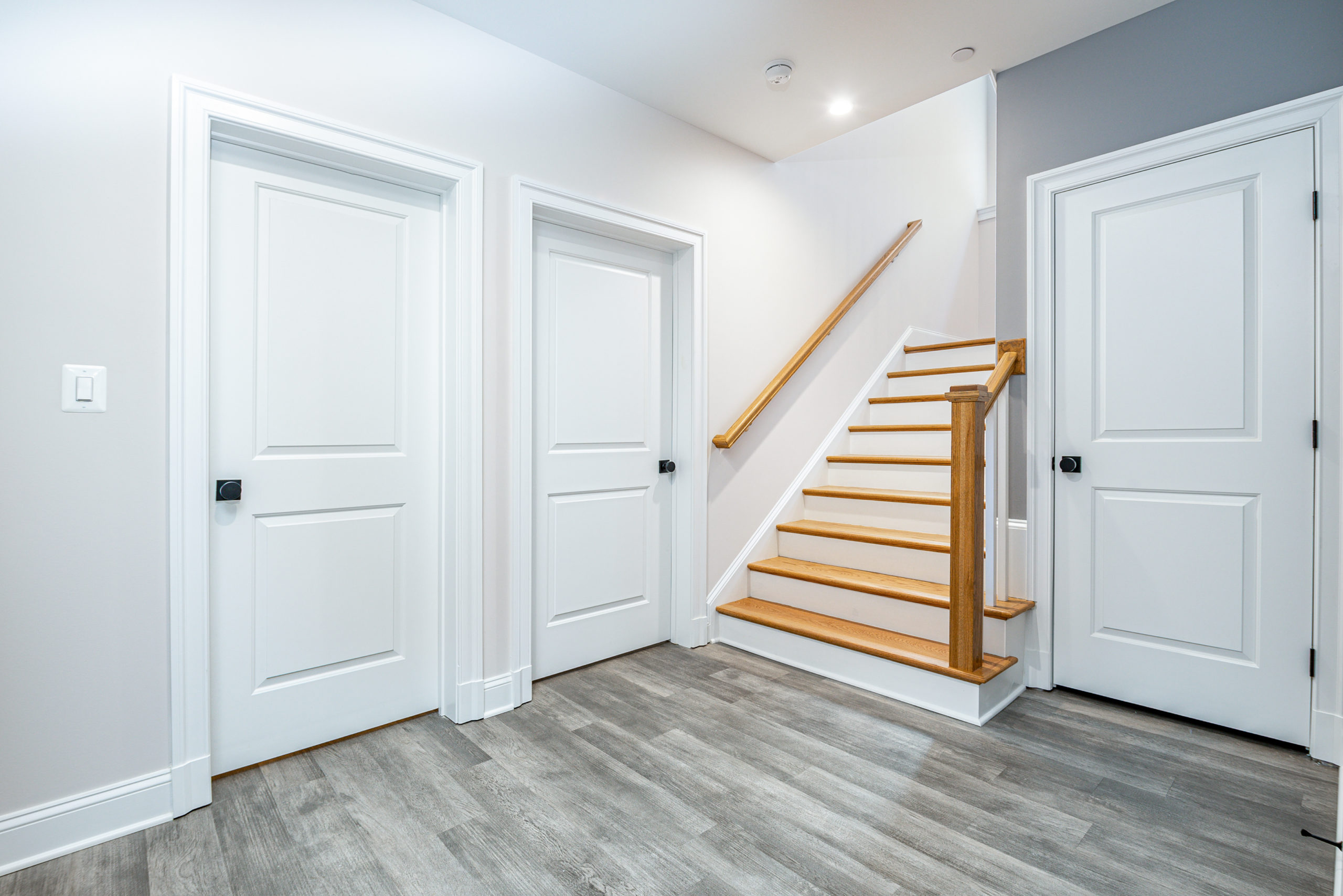 Lower Level Foyer 1